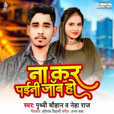 Na Kar Paini Job Ho ft. Neha Raj cover art