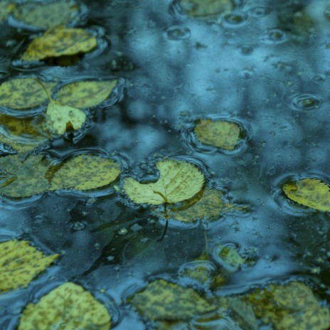 It never rains but it pours cover art
