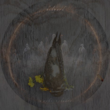 distant cover art