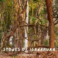 The Stones of Ishanapura