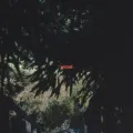 Avvicinati