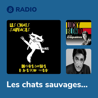 Les chats sauvages Radio