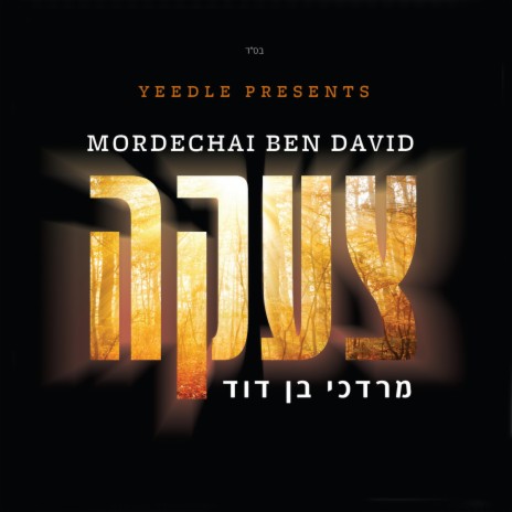 כבשה אחת cover art