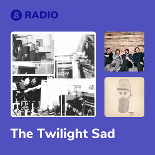 The Twilight Sad Radio