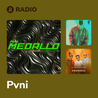 Pvni Radio
