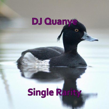 Single Rarity cover art