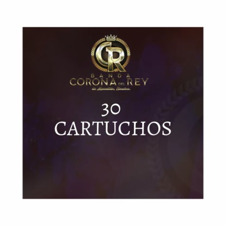 30 Cartuchos