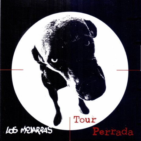Polvora Mojarra cover art