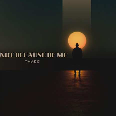 Not Because Of Me cover art