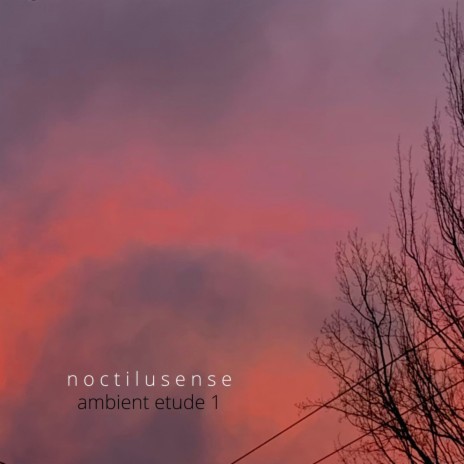 ambient etude 1 cover art
