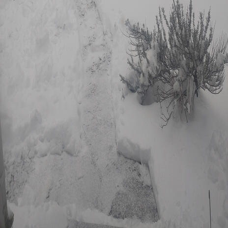 Snow 1