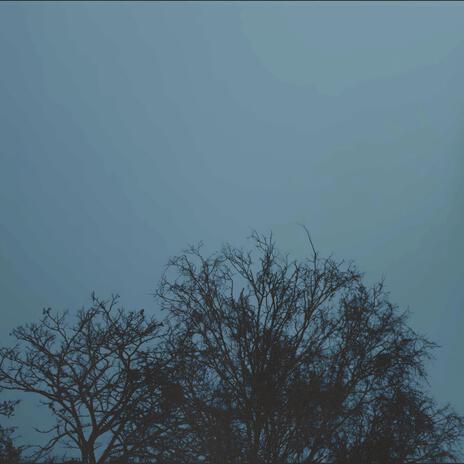 J'AI MAL AU CŒUR cover art