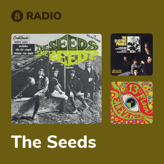 The Seeds Radio