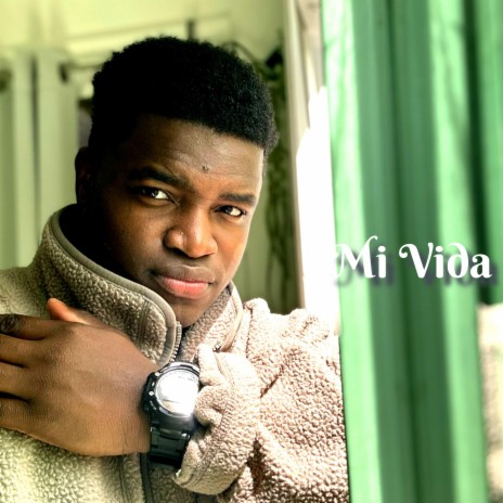 Mi Vida cover art