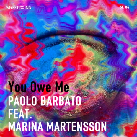You Owe Me (PB Codex Mix) ft. Marina Mårtensson