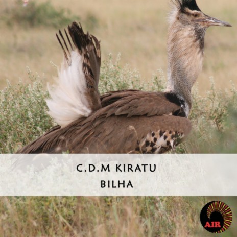 Gitumbu Wa Ndonga