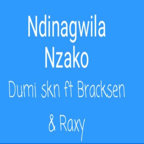 Ndinagwila Nzako (feat. Bracksen & Raxy) cover art