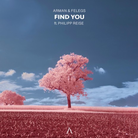 Find You ft. Felegs & Philipp Reise cover art
