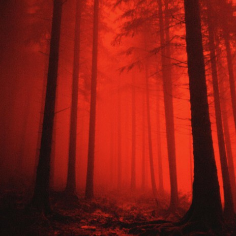 when we were happy (Dark Ambient, Sped Up) ft. chillsoul. & Mr Demon cover art