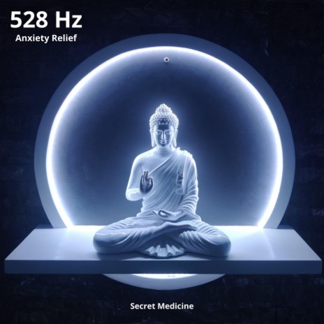 369 Hz Mindful Negativity Dissolution ft. Solfeggio Miracle Frequencies & Sea Turtles cover art