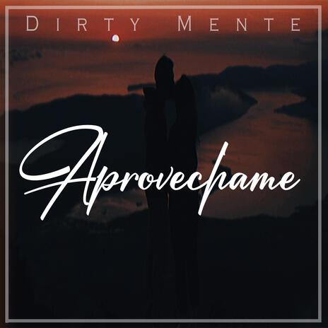 Aprovechame ft. Rade Svk cover art