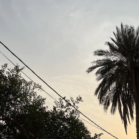 علي رشم - الهوى يلتم عليه cover art
