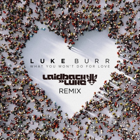 What You Won't Do For Love (Laidback Luke Remix)