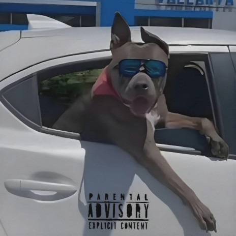 Pxrrxx cover art