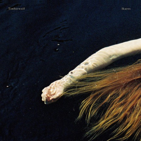 Everybody's Lover cover art
