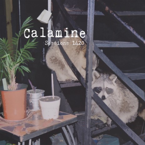 Pas de rime facile avec bitch cover art