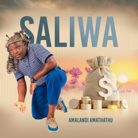 Umndeni amaxoki