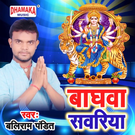 Baghwa Sawariya cover art