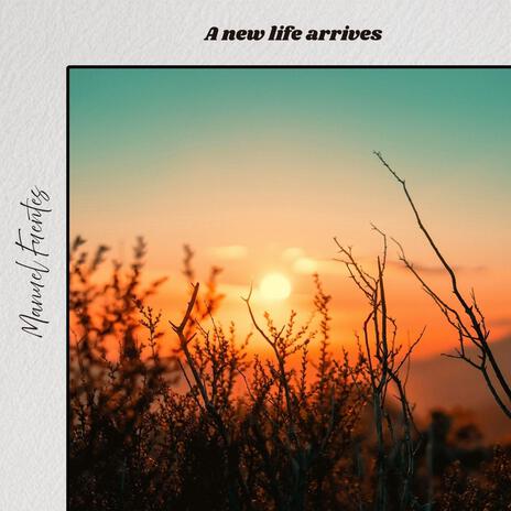 A new life arrives