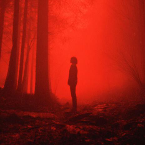 fragility (Dark Ambient, Slowed & Reverb) ft. chillsoul. & Mr Demon cover art