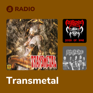 Transmetal Radio