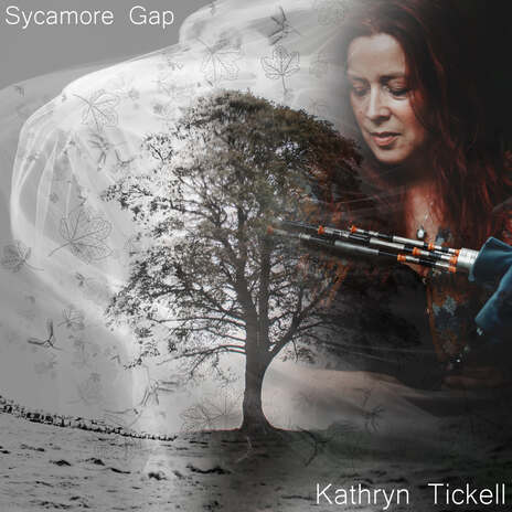 Sycamore Gap cover art