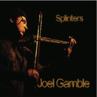 Joel Gamble