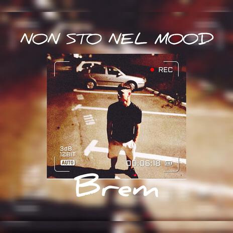 NON STO NEL MOOD cover art