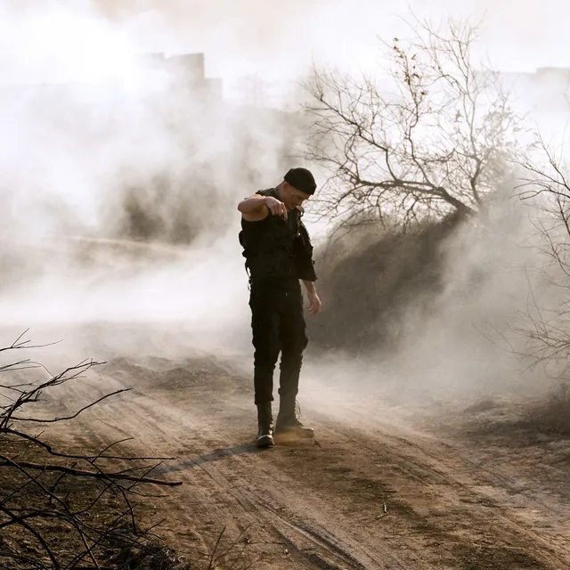 ДУЛО cover art