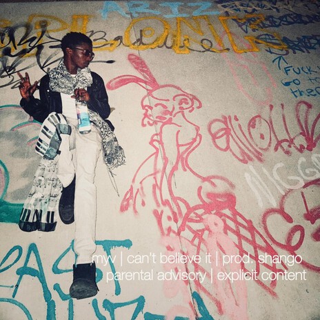 can't believe it. cover art
