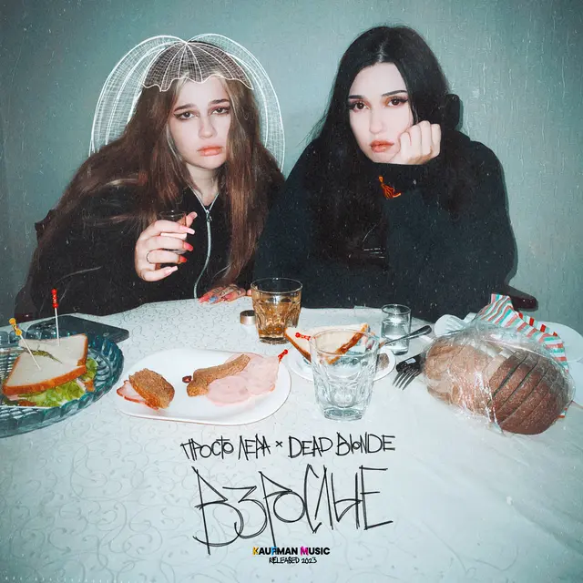 Взрослые cover art