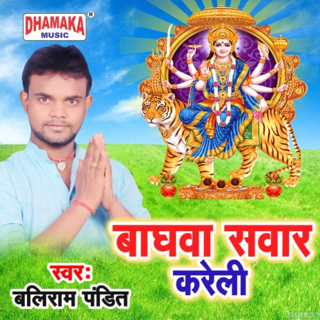 Baghwa Sawar Kareli cover art