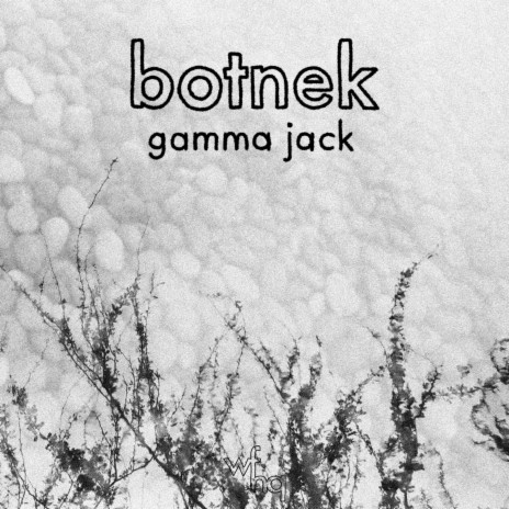Gamma Jack cover art