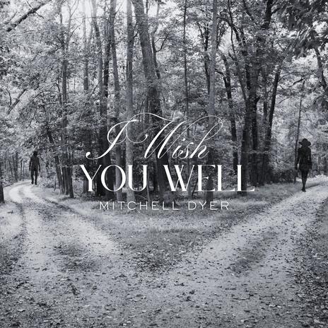 I Wish You Well cover art