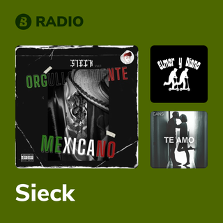 Sieck Radio