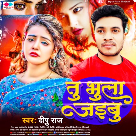 Tu Bhula Jaibu cover art