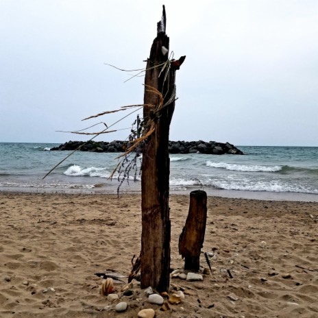 Akmv2 cover art