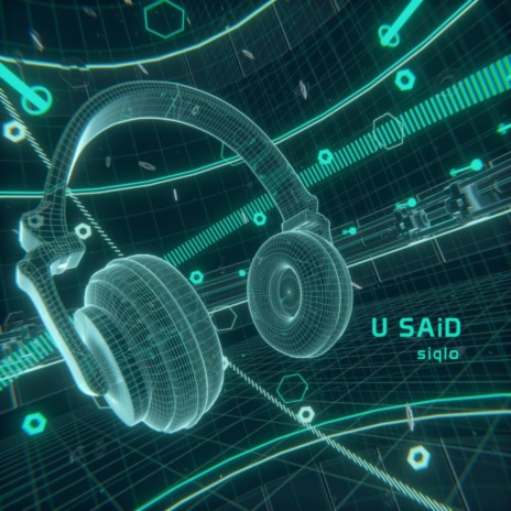 U SAiD cover art