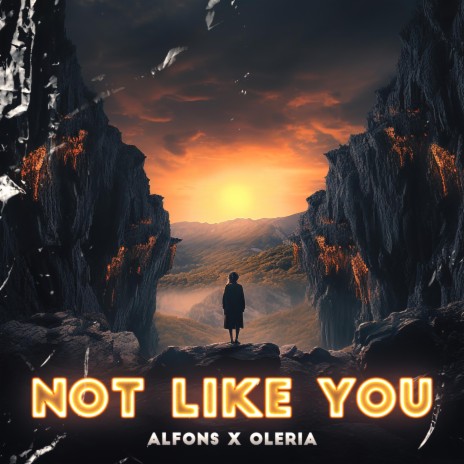 Not Like You ft. Oleria cover art