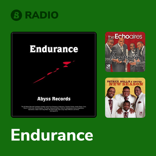 Endurance Radio